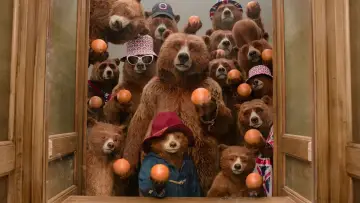 Zasłona do filmu "Paddington w Peru" #567559