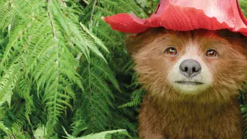 Zasłona do filmu "Paddington w Peru" #567619