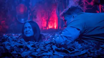 Zasłona do filmu "Dom strachów" #269769