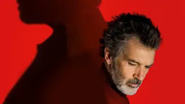Zasłona do filmu "Ból i blask" #217872