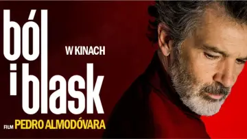 Zasłona do filmu "Ból i blask" #866834
