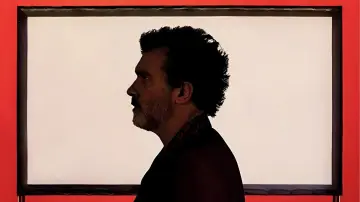 Zasłona do filmu "Ból i blask" #866835