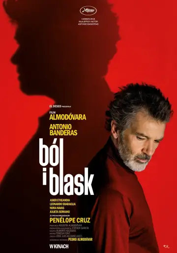 Plakat do filmu "Ból i blask" #866876