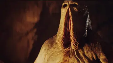 Zasłona do filmu "Mrzyj, monstrum, mrzyj" #1145919