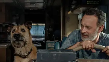 Zasłona do filmu "Finch" #182817