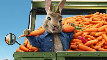 Zasłona do filmu "Piotruś Królik 2: Na gigancie" #237703