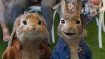Zasłona do filmu "Piotruś Królik 2: Na gigancie" #237707