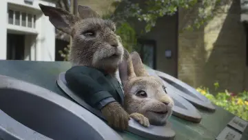 Zasłona do filmu "Piotruś Królik 2: Na gigancie" #237712