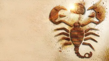 Zasłona do filmu "Król Skorpion: Księga Dusz" #328516