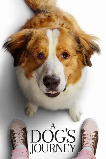 Plakat do filmu "Był sobie pies 2" #47876