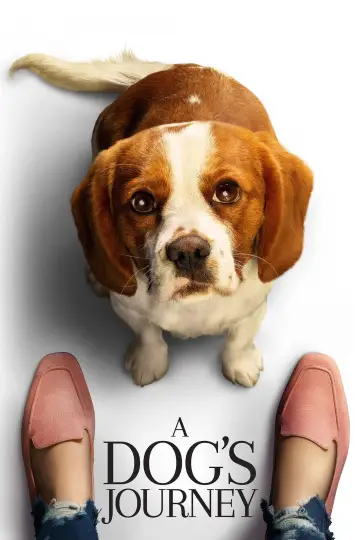 Plakat do filmu "Był sobie pies 2" #47880