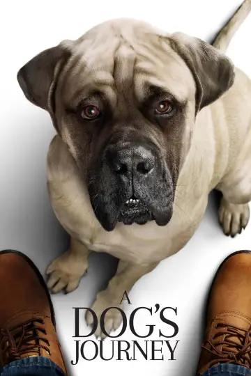Plakat do filmu "Był sobie pies 2" #47881