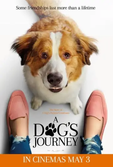 Plakat do filmu "Był sobie pies 2" #47886
