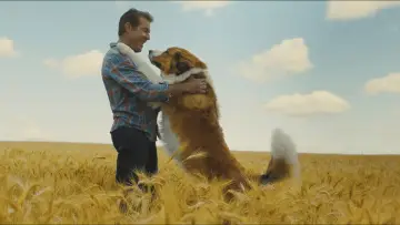 Zasłona do filmu "Był sobie pies 2" #750982