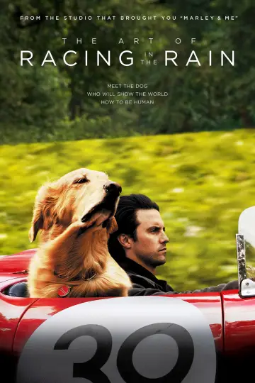 Plakat do filmu "Sztuka ścigania się w deszczu" #44051