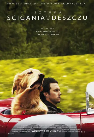 Plakat do filmu "Sztuka ścigania się w deszczu" #716561