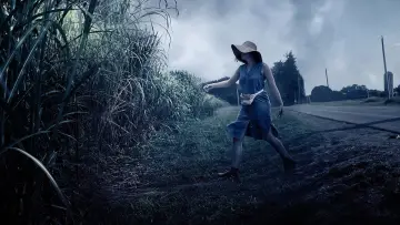 Zasłona do filmu "W wysokiej trawie" #328764