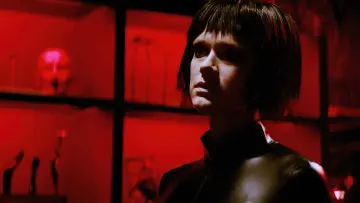 Zasłona do filmu "Psy nie noszą spodni" #1079829