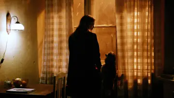 Zasłona do filmu "Psy nie noszą spodni" #1079834