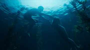 Zasłona do filmu "Psy nie noszą spodni" #436432