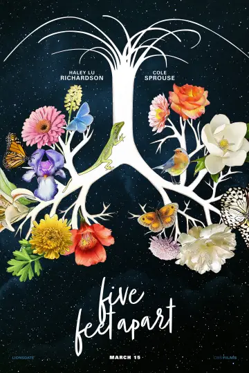 Plakat do filmu "Trzy kroki od siebie" #42620