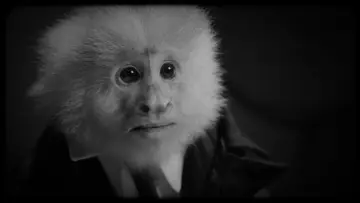 Zasłona do filmu "Co Zrobił Jack?" #1812782