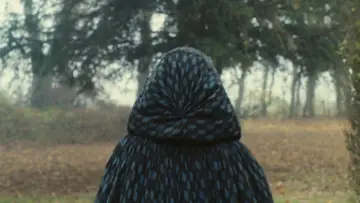 Zasłona do filmu "Portret kobiety w ogniu" #709695