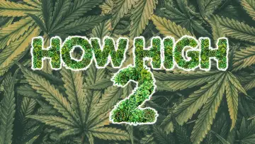 Zasłona do filmu "How High 2" #1038627