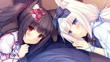 Zasłona do filmu "Nekopara OVA" #418271
