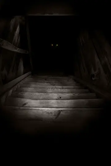 Plakat do filmu "Boogeyman" #282612