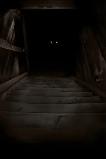 Plakat do filmu "Boogeyman" #282613
