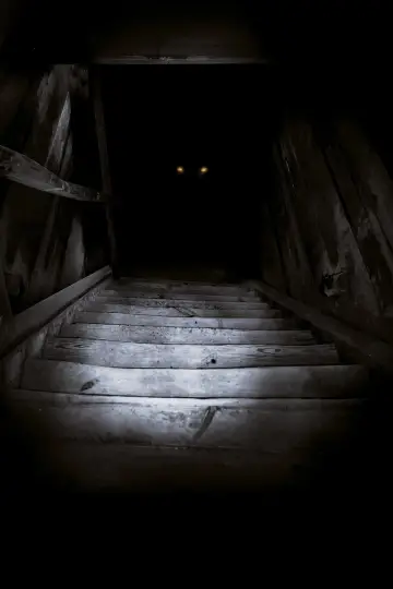 Plakat do filmu "Boogeyman" #282614