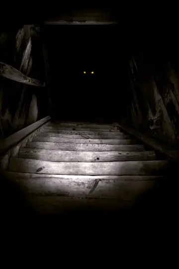 Plakat do filmu "Boogeyman" #282617