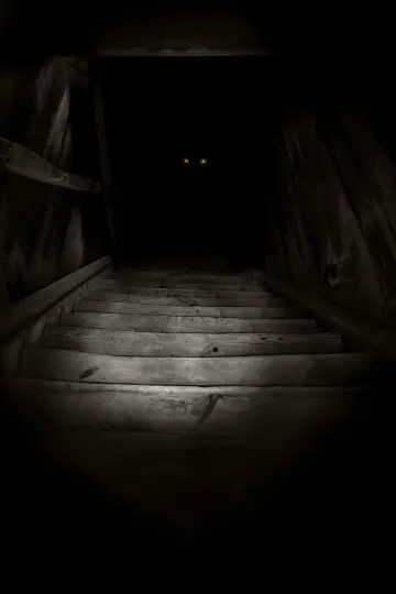 Plakat do filmu "Boogeyman" #282620
