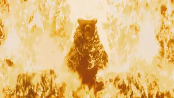 Zasłona do filmu "Midsommar. W biały dzień" #588990