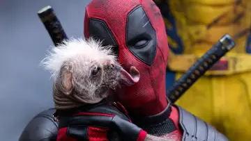 Zasłona do filmu "Deadpool & Wolverine" #472184