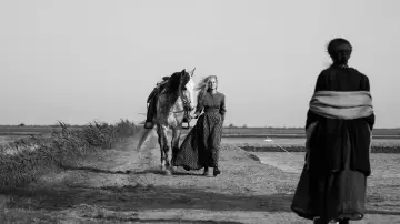 Zasłona do filmu "Elisa i Marcela" #988652