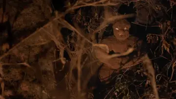 Zasłona do filmu "TUMBBAD" #384488