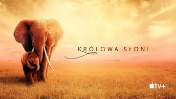 Zasłona do filmu "Królowa słoni" #1065839