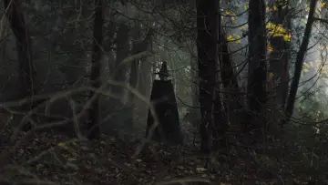 Zasłona do filmu "Małgosia i Jaś" #309551