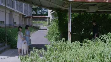 Zasłona do filmu "ラストレター" #1869460
