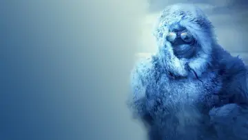 Zasłona do filmu "Amundsen" #1022610