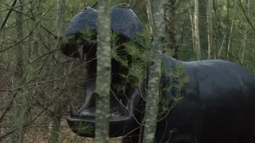 Zasłona do filmu "Na noże" #561353