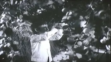 Zasłona do filmu "Khi vắng bà" #1180418