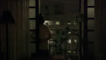Zasłona do filmu "Gniazdo kolibra" #1013452