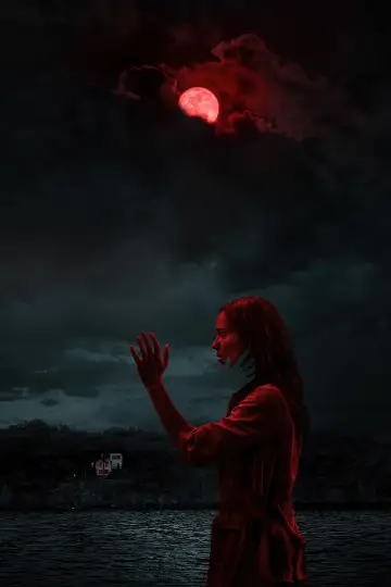 Plakat do filmu "Dom Nocny" #274364