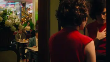 Zasłona do filmu "Niewidoczne życie sióstr Gusmao" #412302
