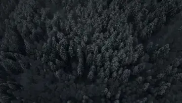 Zasłona do filmu "Łowca głów" #389687