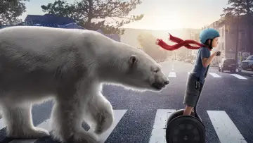 Zasłona do filmu "Timmy Fiasco: Błędy się zdarzają" #353667