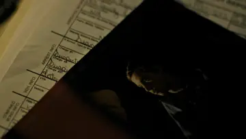 Zasłona do filmu "Hellmington" #1920420